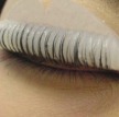 eyelash extensions